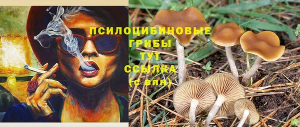 a pvp Алексеевка