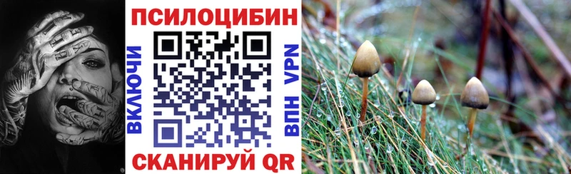 Псилоцибиновые грибы мухоморы  наркотики  Венёв 