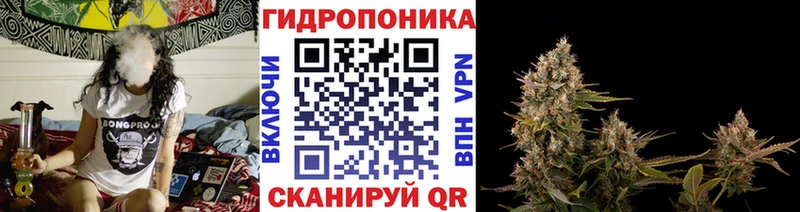 ОМГ ОМГ зеркало  Венёв  Марихуана Amnesia 